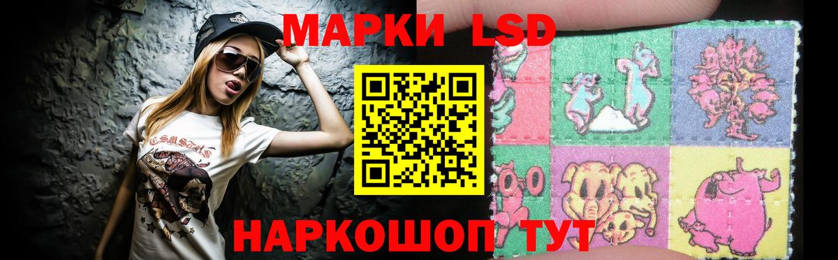 LSD-25 экстази кислота  Лсд 25 экстази  Ногинск  Вход с VPN 