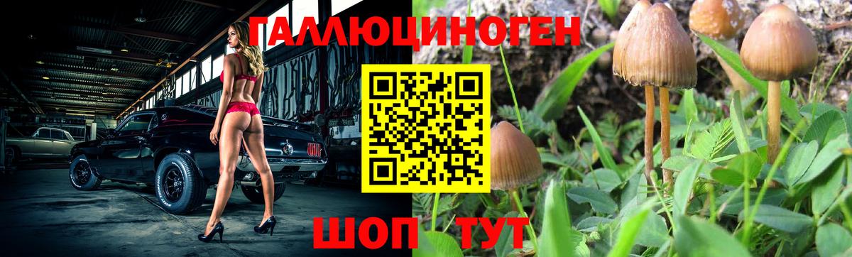 Галлюциногенные грибы MAGIC MUSHROOMS  Вход с VPN  закладка  Ногинск 